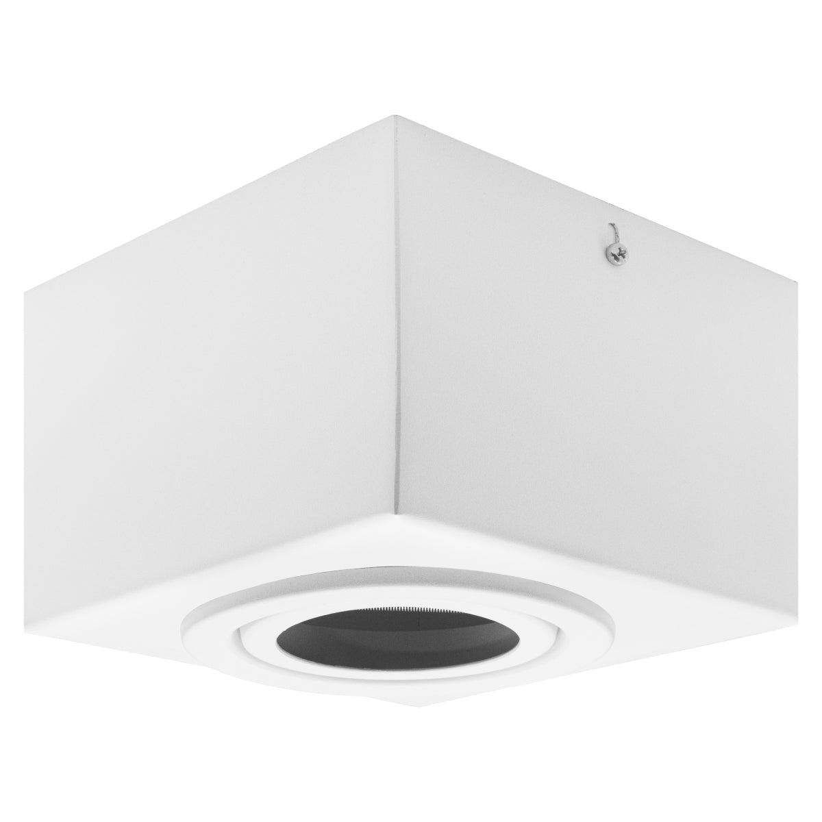 Spot Plafon Sobrepor Box Quadrado Par20 Direcionável