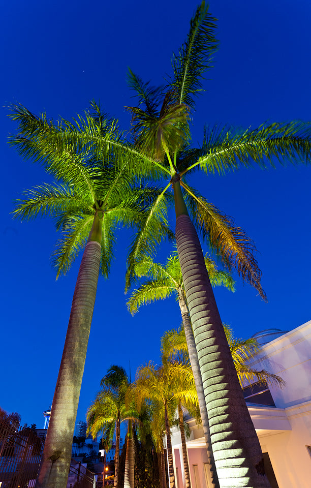 Embutido De Solo Par38 Preto